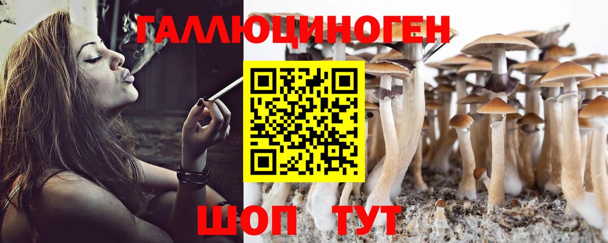 Бердск  Псилоцибиновые грибы MAGIC MUSHROOMS  как найти наркотики  Вход с VPN 